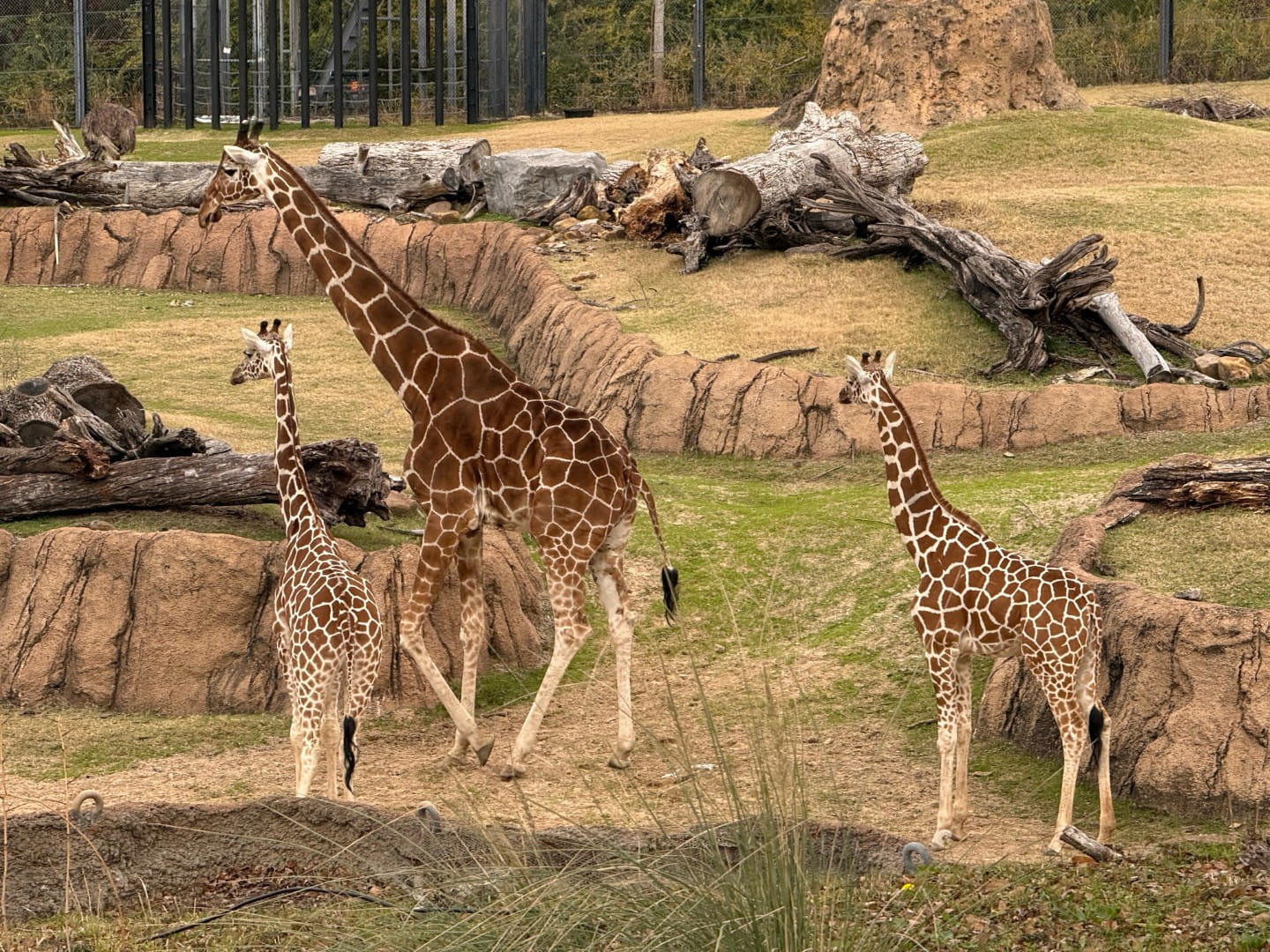 Zoologisk Have